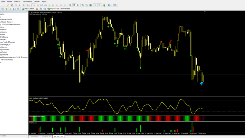 Como usar FHG Miracle of Forex para MT4