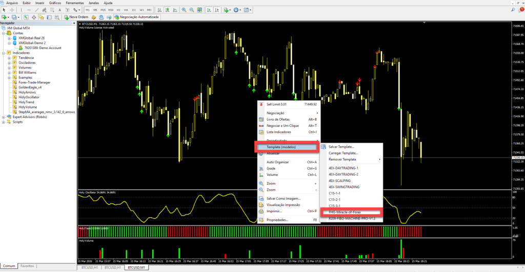 FHG Miracle of Forex para MT4 no MT4 - visão geral