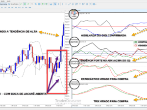 Estratégia com Setup do Didi Completo + Indicadores + Templates