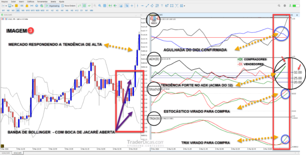 Estratégia com Setup do Didi Completo + Indicadores + Templates