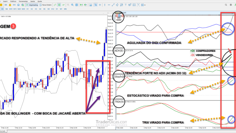 Como usar Setup do Didi Completo + Indicadores + Templates no MT5