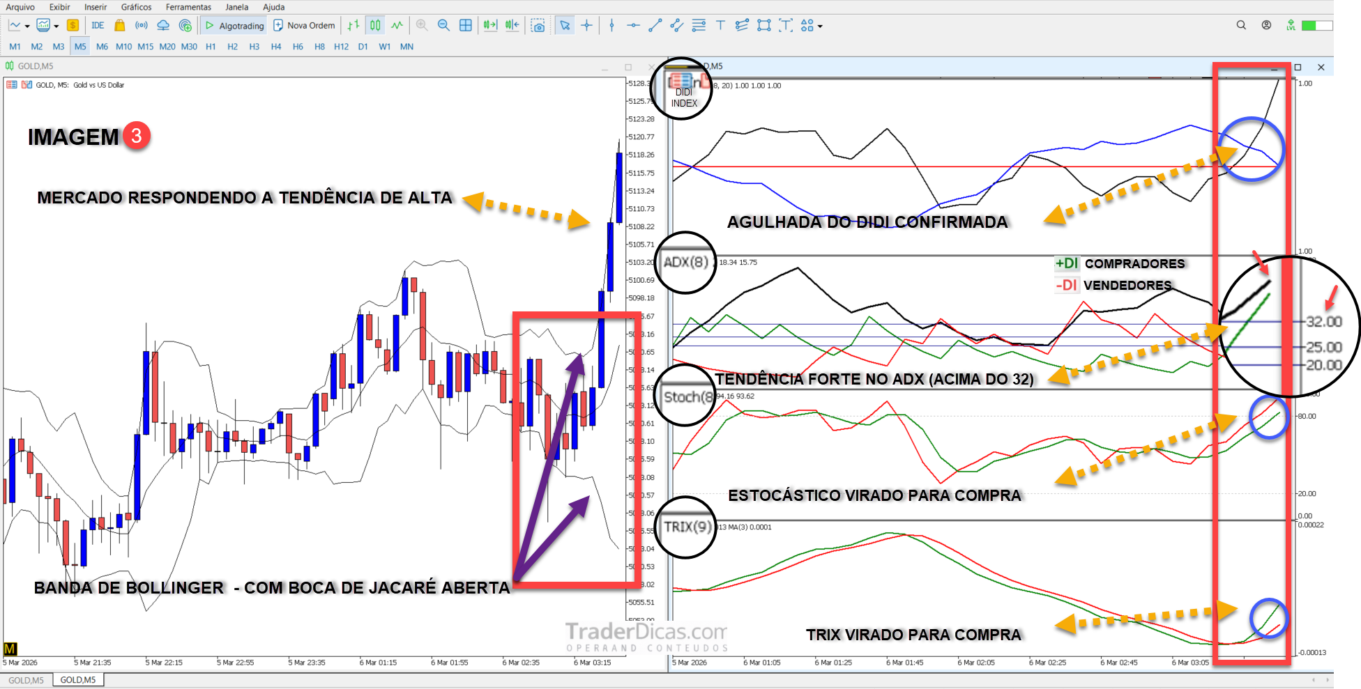 Estratégia com Setup do Didi Completo + Indicadores + Templates